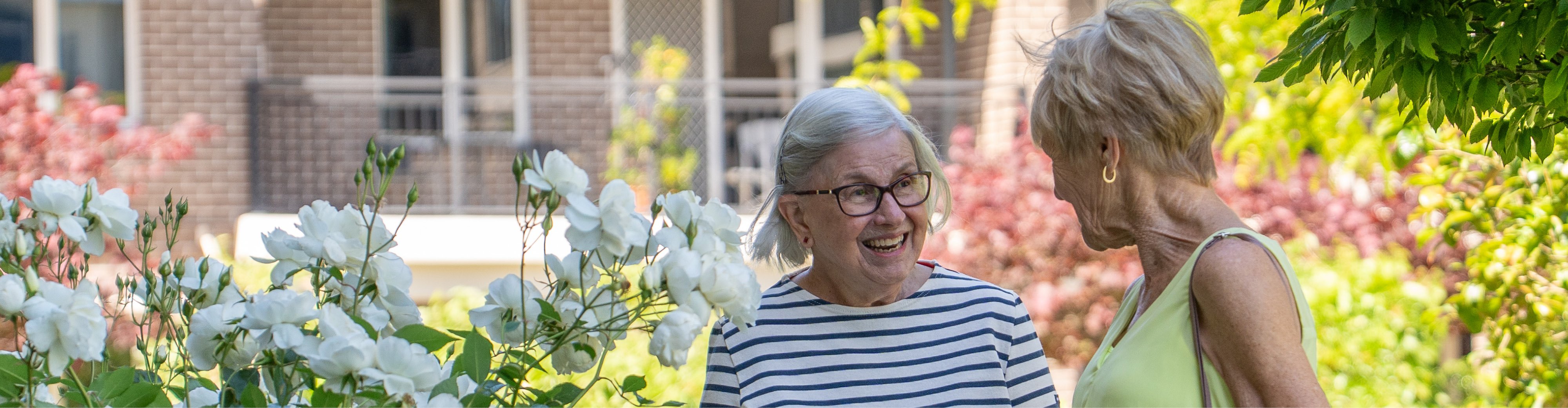 250407 WD Website Hero 1920x500px