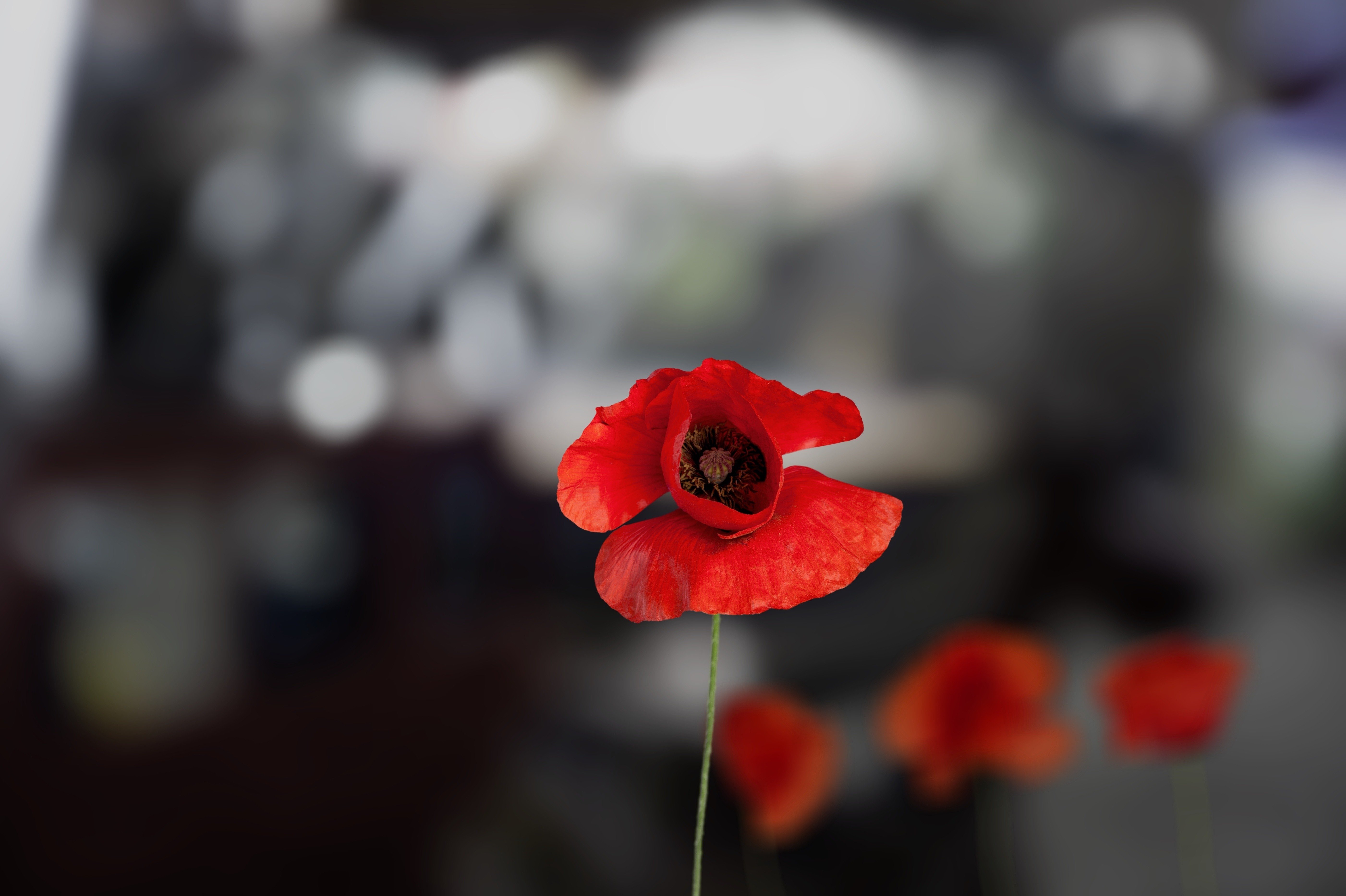 AdobeStock_509308619
