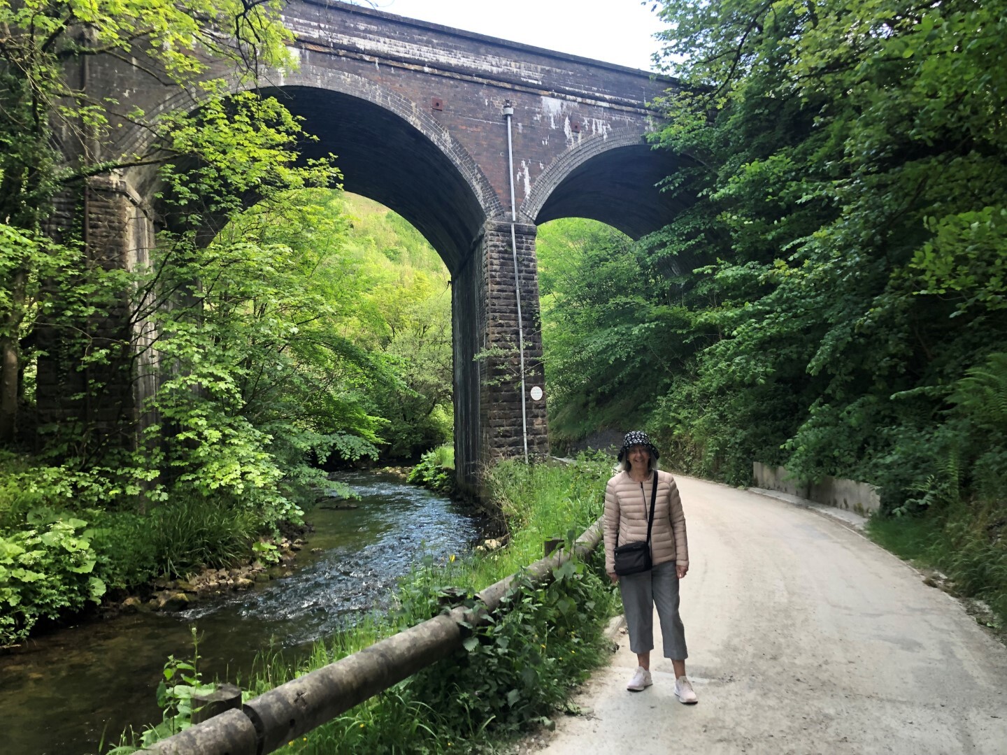 Glynne viaduct (Large)