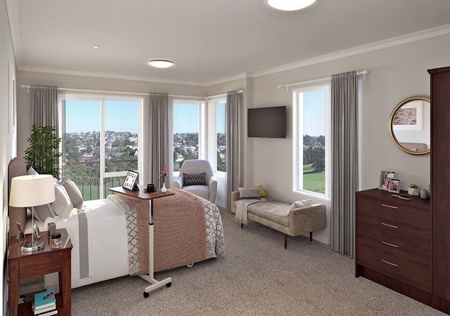 Large-036-001-Care Unit_High_Dark_Low bed