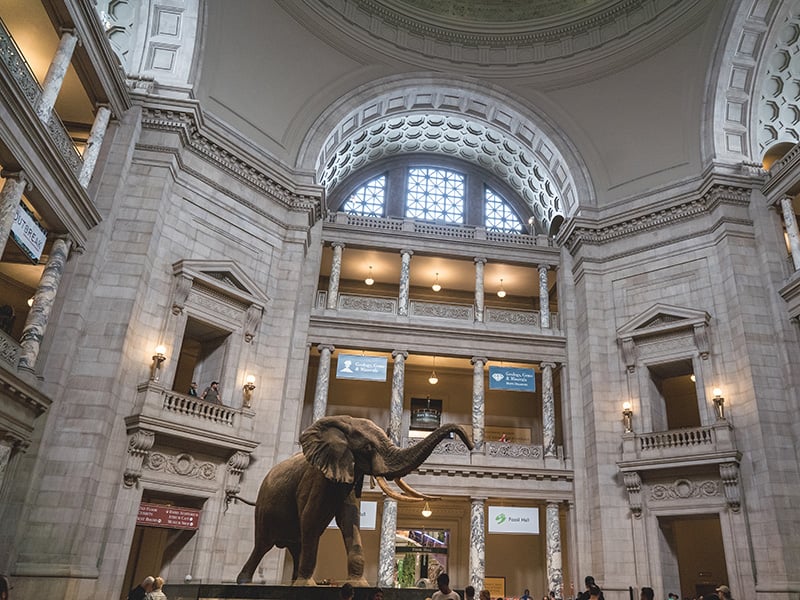 Smithsonian Museum