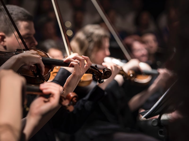 Symphony Orchestra 2