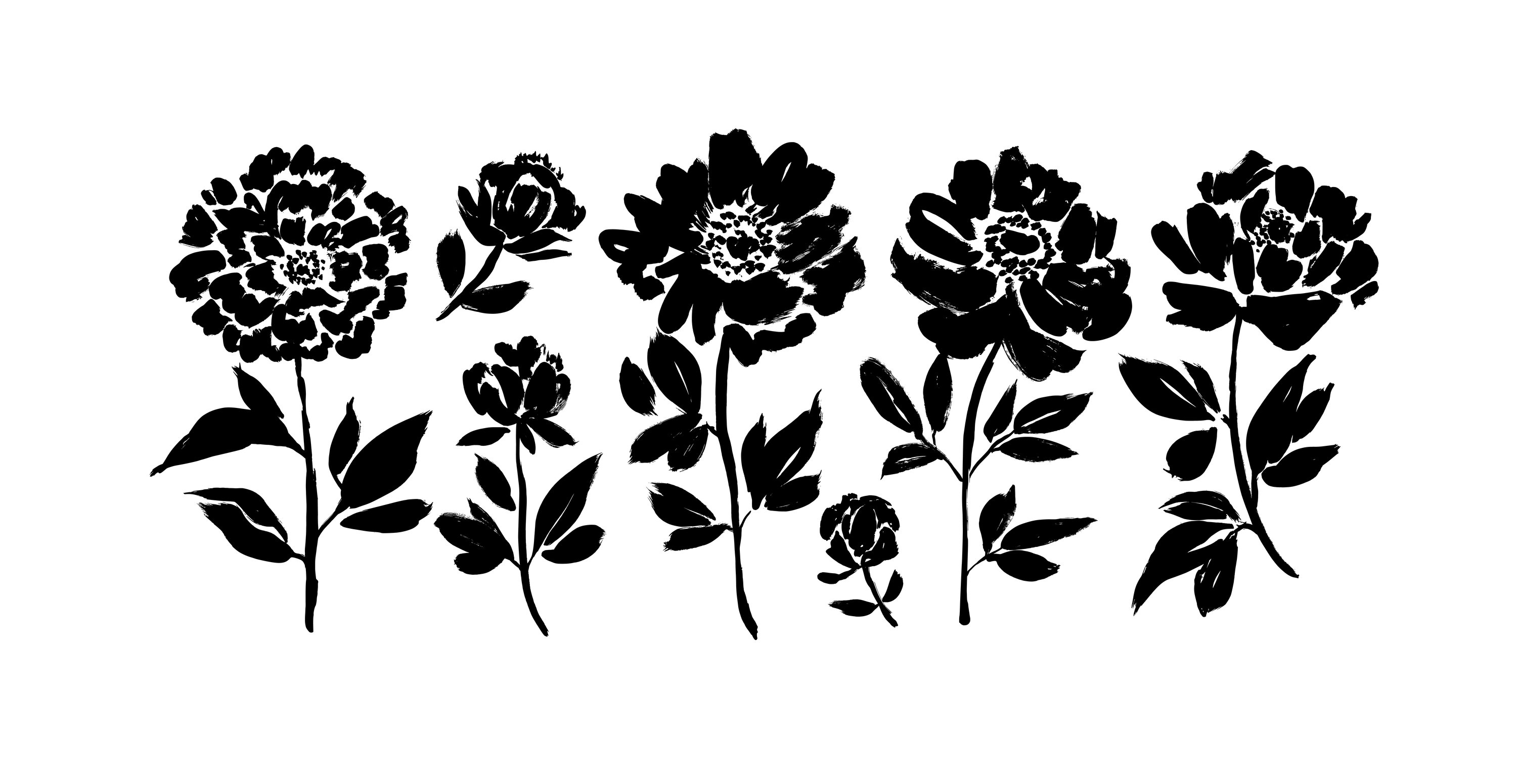 bigstock-Peony-And-Anemones-Hand-Drawn--372758413