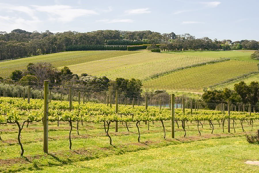 Best places to retire in Victoria