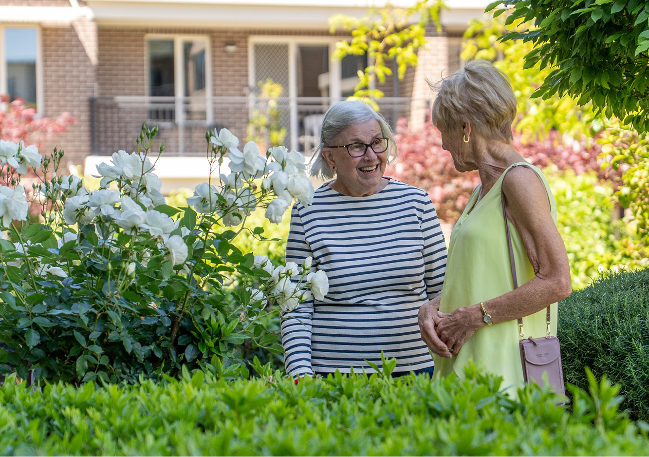 250407 WD Website Hero 640x450px