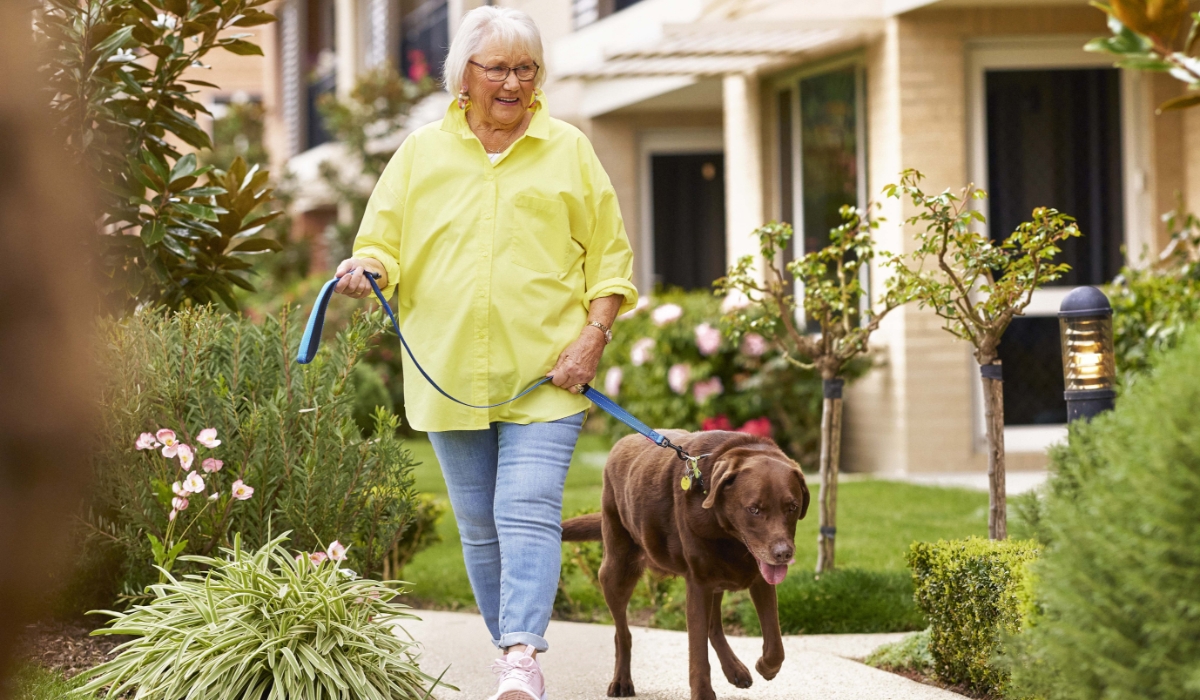 Hero Image 1200x700 Helen Hero Image 1200x700 Helen