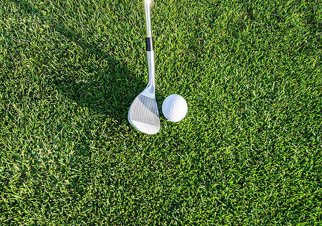 Golf Club and Ball